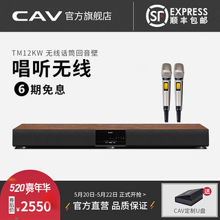 CAV 丽声 家用ktv投影电视回音壁音响客厅ktv音响套装卡拉ok一体机唱歌