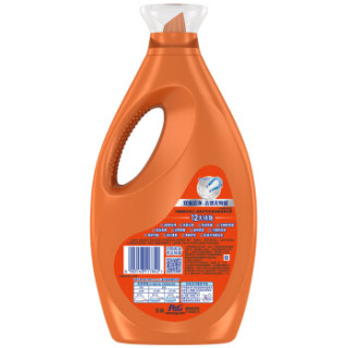 Tide 汰渍 全效360系列 洗衣液