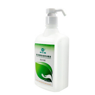 HEALTH ESSENCE 健之素 复合醇消毒液 免洗手消毒洗手液 500ml