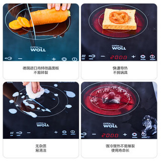WOLL 弗欧 FW20-T02+120NC 电陶炉