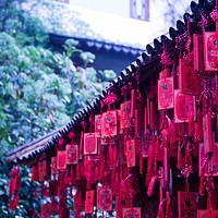 机票特惠：石家庄-杭州4日自由行往返含税机票 可选酒店（含早）