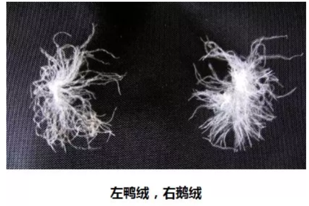 改造篇 | 醒醒，那些你用了几年的床品真的该换了