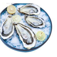 海洋岛 大连生蚝 鲜活 L号 2500g*2件+展卉 国产西瓜1个 约2.5kg*2件+带鱼600g