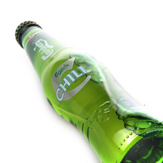 Carlsberg 嘉士伯 冰纯 啤酒 330ml*24瓶 整箱装