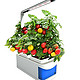  新诚优品 创意科普多功能智能植物生长灯 LED全光谱花卉蔬菜组培育 蓝色款　