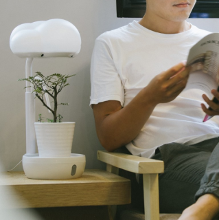 Supercase 一朵云植物台灯 报价价格评测怎么样 什么值得买