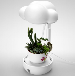 Supercase 一朵云植物台灯 报价价格评测怎么样 什么值得买