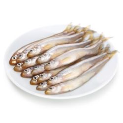琨山水产 密云水库 池沼公鱼 500g