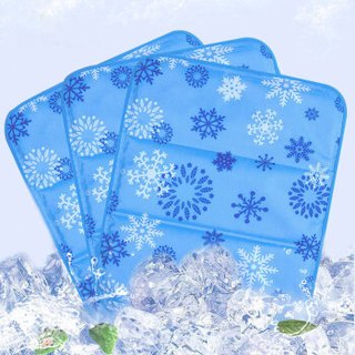郑氏龙森 夏季冰垫冰枕 汽车坐垫 笔记本散热垫 办公室座椅垫 宠物垫 冰晶学生宿舍