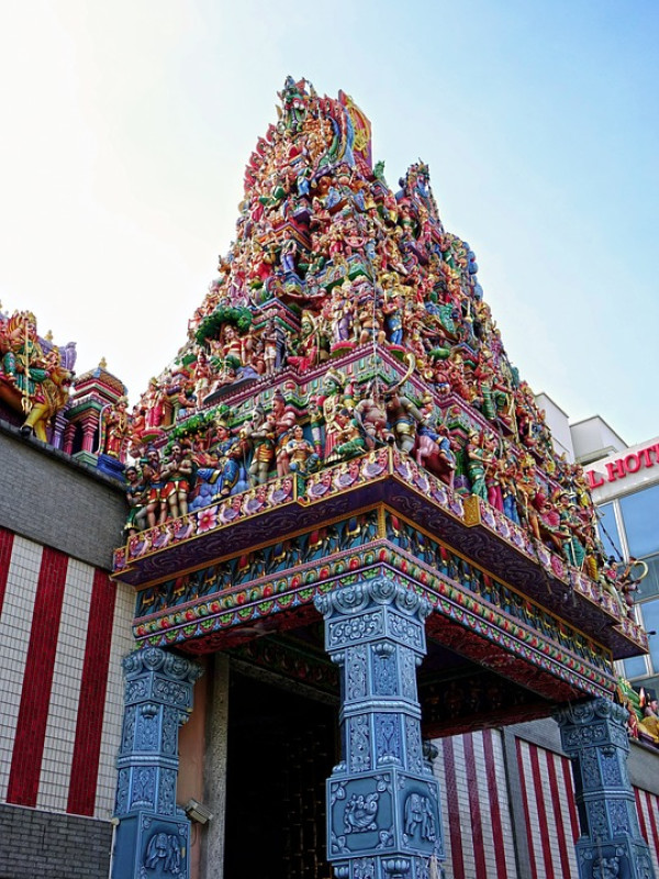 从小白到大神,跟着路线就能走