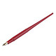 百乐PILOT 台式钢笔签字笔墨水笔 时尚男女礼品笔学生练字笔铱金笔 红色F尖含1墨胆  日本进口速写绘图笔+凑单品