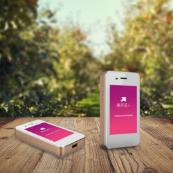 美国/加拿大/墨西哥 4G上网 wifi租赁 含塞班、关岛、夏威夷