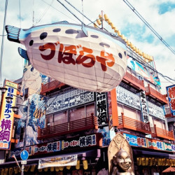 日本 东京/大阪/北海道/冲绳 华人司机 接送机 