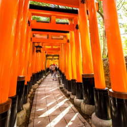 上海-日本香川/东京/札幌/大阪/名古屋5天4晚自由行