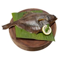 Ocean Gala 海鲜盛宴 冷冻阿拉斯加黄金鲽鱼 1kg 2-3条 *8件