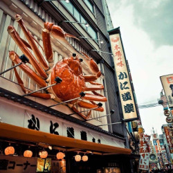 全国多地-日本大阪5天往返含税机票