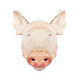 京东PLUS会员：精气神 长白山山黑猪 猪头 4.3kg