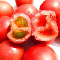 圣德利  小番茄 小西红柿 2500g