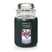 Yankee Candle 扬基 冬日香味 香薰蜡烛 Large Jar