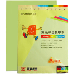 天章(TANGO)金彩天章80克A4浅绿色彩色打印纸复印纸100张/包