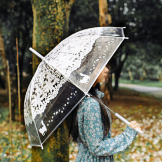 MAYDU 美度 M106 小清新长柄雨伞