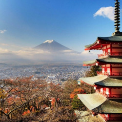 上海送签 日本个人旅游签证 