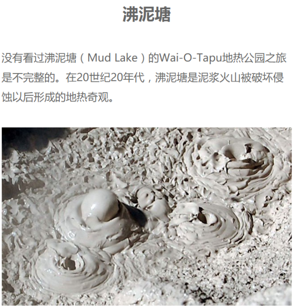 当地参团:罗托鲁瓦出发 新西兰怀欧塔普Wai-O-Tapu地热公园半日游(门票+往返接送)