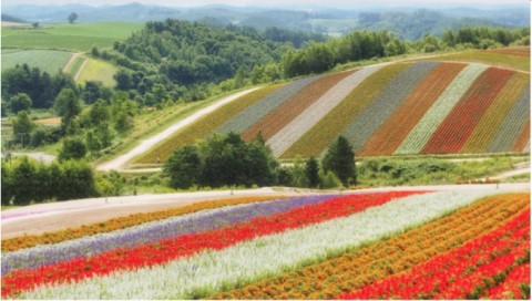 纯玩团、值友专享:全国出发-暑假班期日本北海