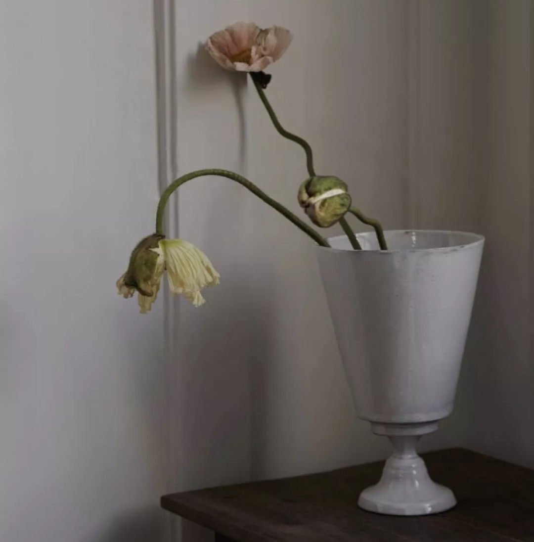 如何选花瓶?是偶像派,更是实力派