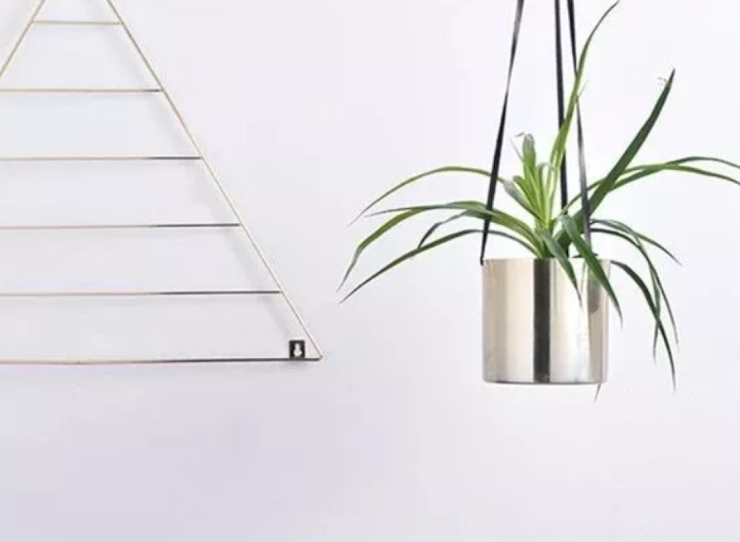如何选花瓶?是偶像派,更是实力派