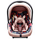 618预售：贝贝卡西 LB321 婴儿提篮式 儿童安全座椅