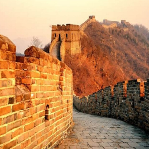 特价机票:北京-上海\/成都\/包头单程含税机票