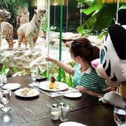 与虎同食!广州长隆白虎自助餐厅午/晚餐成人票