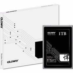 Gloway 光威 悍将 1TB 固态硬盘