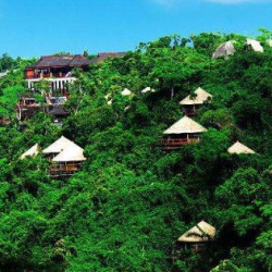 云端之上，山海之间！三亚亚龙湾人间天堂鸟巢度假村 1-2晚入住套餐