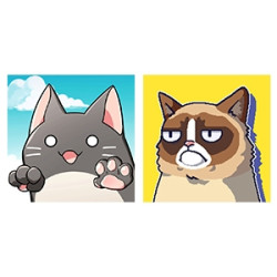 在猫咪的世界中，你永远是那个所向披靡的人