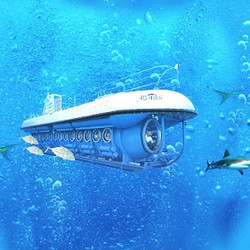 夏威夷欧胡岛亚特兰蒂斯潜水艇观光一日游（含酒店接送+中文讲解）