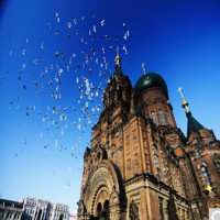 特价机票:哈尔滨-黑河\/抚远\/五大连池单程含税