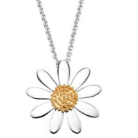 16日0点:Daisy London 925银 雏菊项链