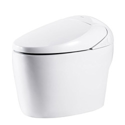 BRAVAT 贝朗 C21190W-3 喷射虹吸式智能马桶座便器 305坑距