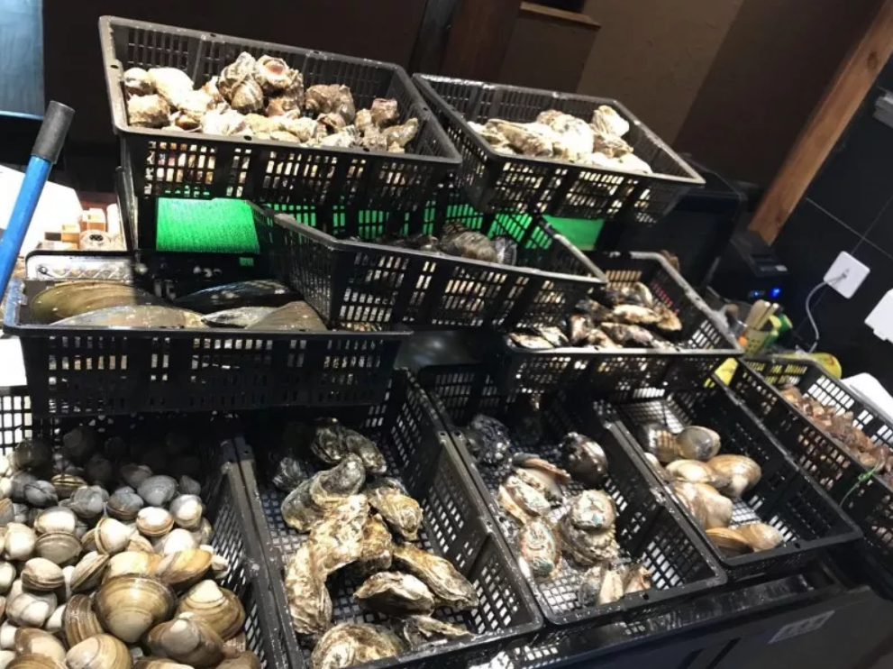 最想私藏的居酒屋!以超高品质的海鲜贝类成功俘获万千吃货,绝对找不出第二家