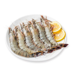 马达加斯加 冻黑虎虾 800g