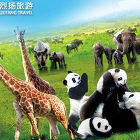 门票特惠：广州长隆野生动物世界门票