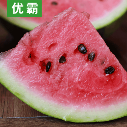 上海南汇8424西瓜黑籽 2个 约14-16斤新鲜水果