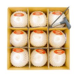 苏洪鲜食 泰国椰青 9个装  椰子大果 椰青一箱（9个）