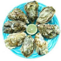 贝哥 冷冻全壳乳山生蚝(牡蛎) 480g 6粒 *3件