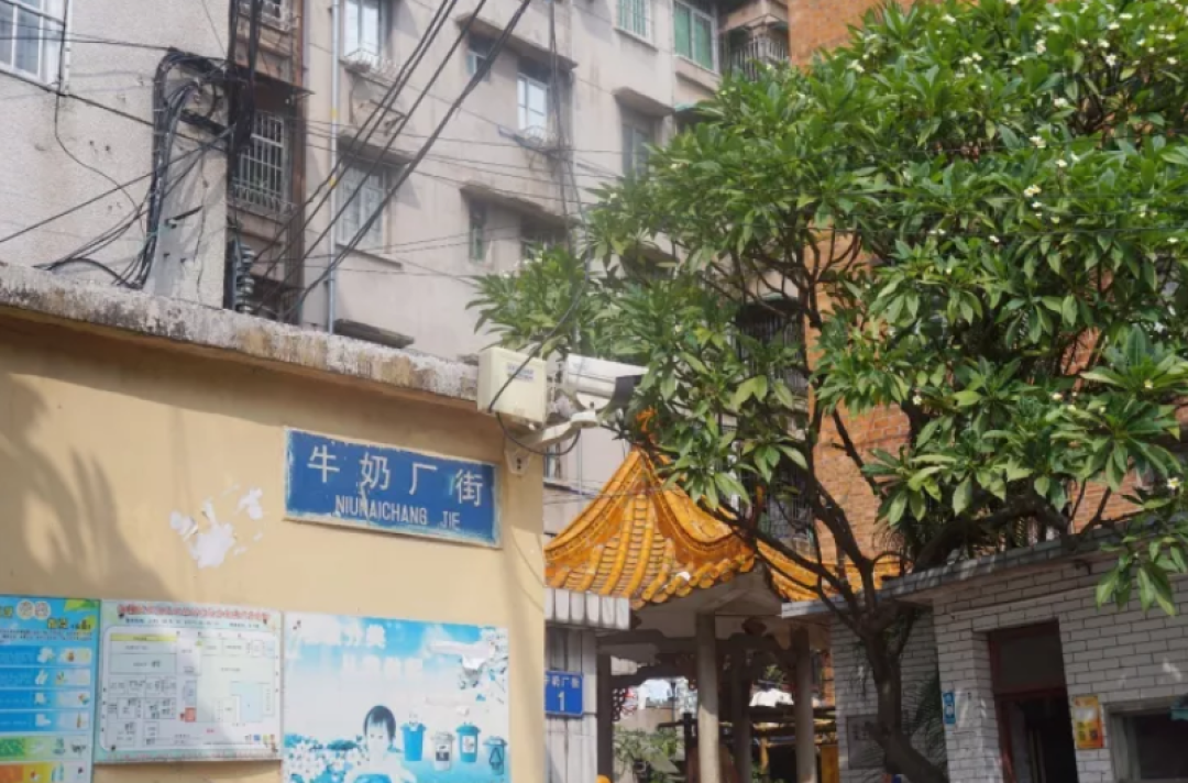 这条广州老街,藏匿了多少不为人知的美味和故事?