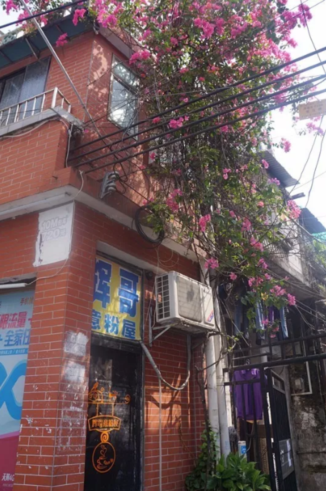 这条广州老街,藏匿了多少不为人知的美味和故事?
