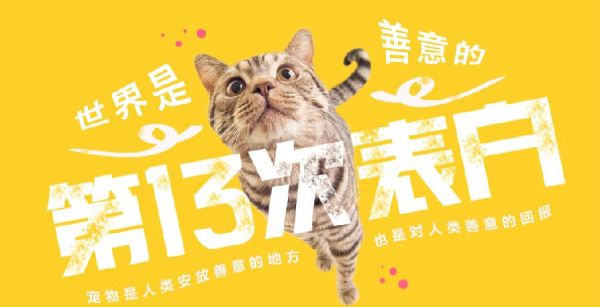 《第13次表白•世界是善意的》宠物展 上海站