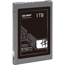 Gloway 光威 悍将 1TB 固态硬盘